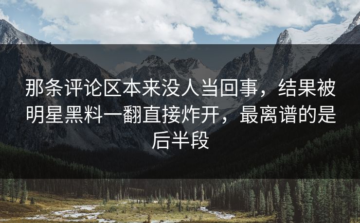那条评论区本来没人当回事，结果被明星黑料一翻直接炸开，最离谱的是后半段