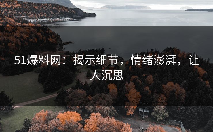 51爆料网：揭示细节，情绪澎湃，让人沉思
