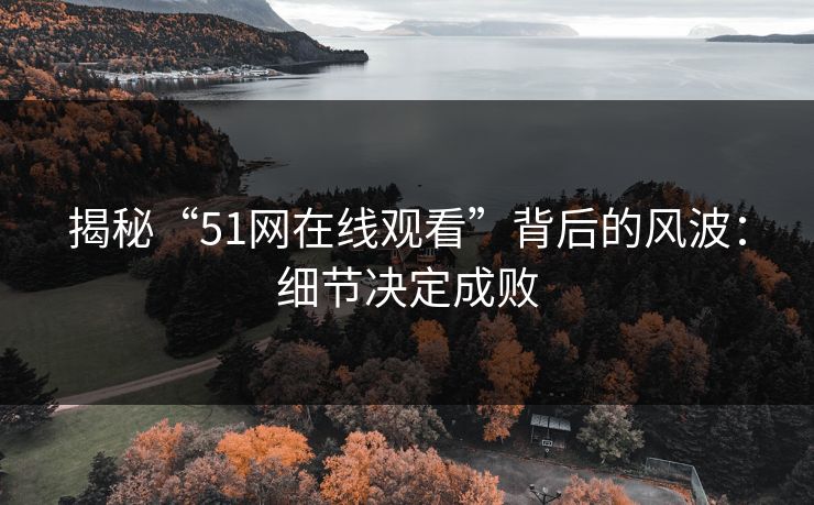 揭秘“51网在线观看”背后的风波：细节决定成败